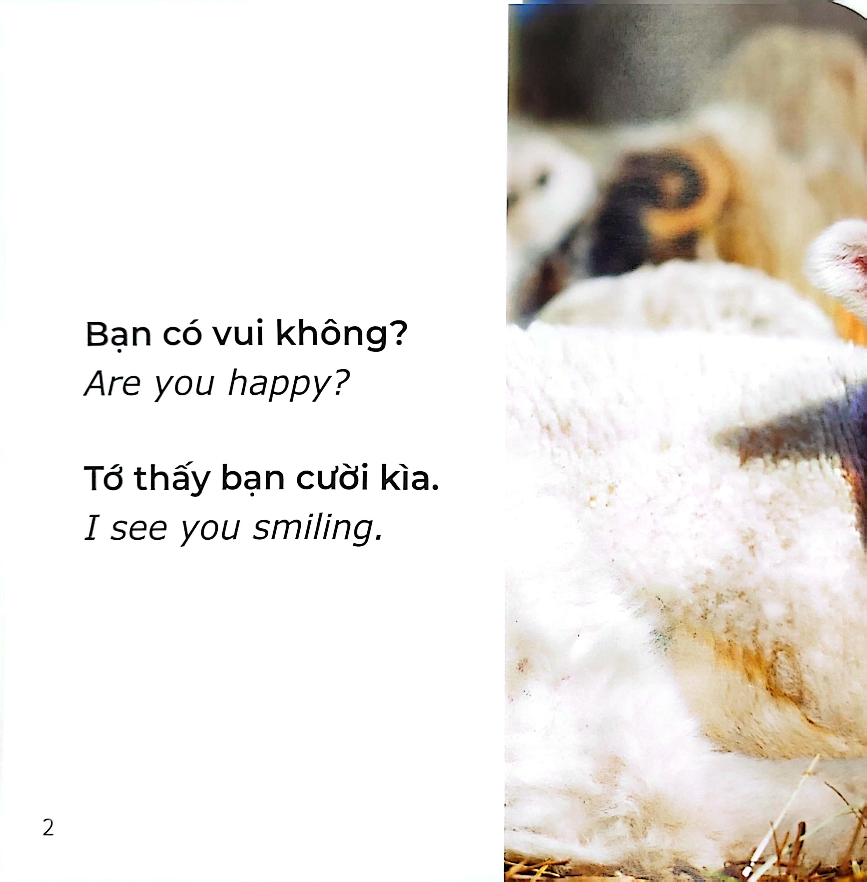 Gõ Cửa Thiên Nhiên Những Gương Mặt Xinh/Cảm Xúc_Faces