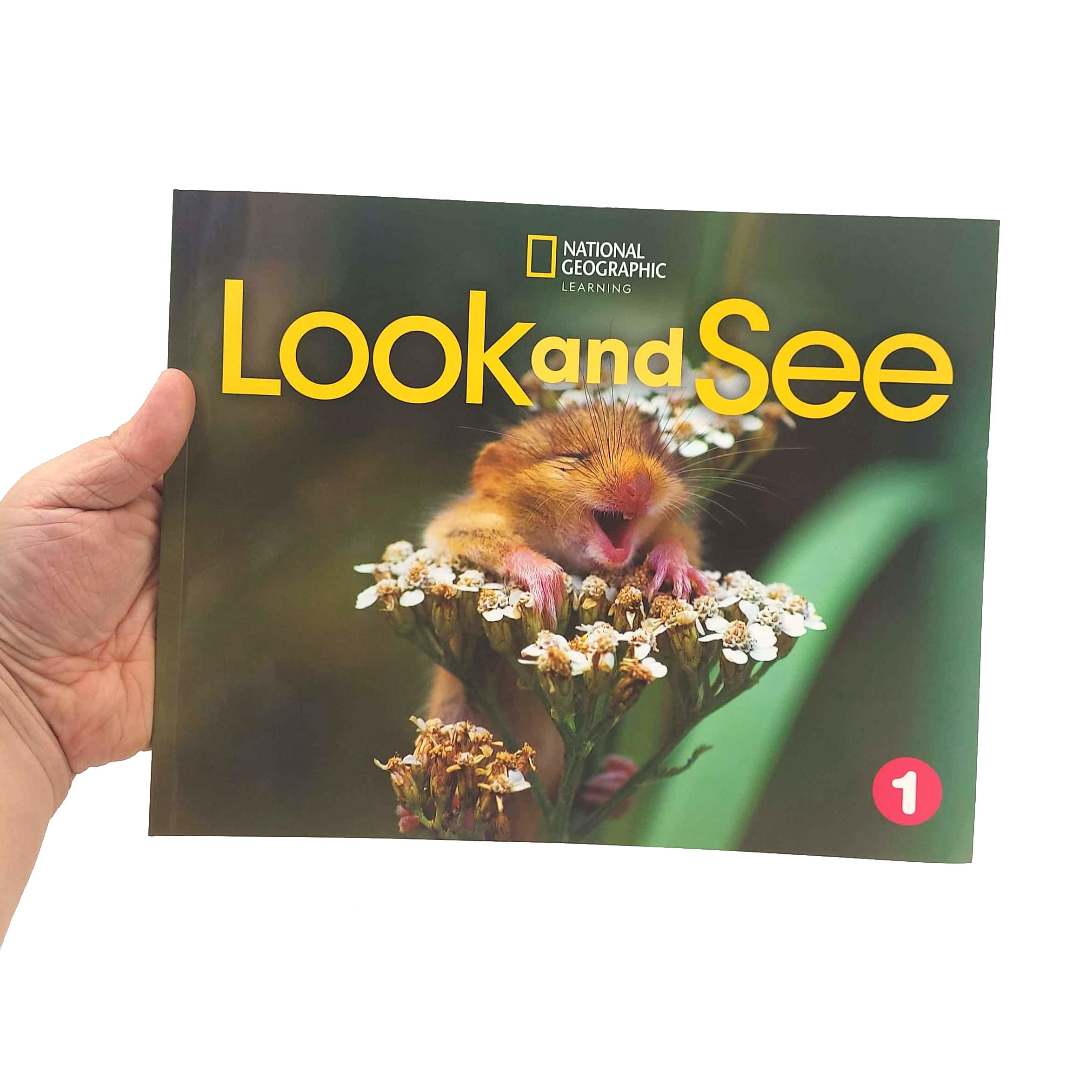 Look And See 1 AME: Student