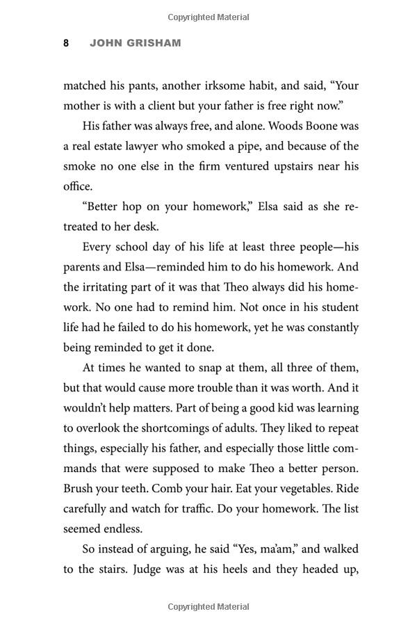 Theodore Boone: The Accomplice