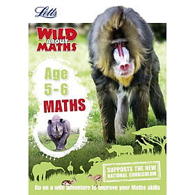 Maths Age 5-6