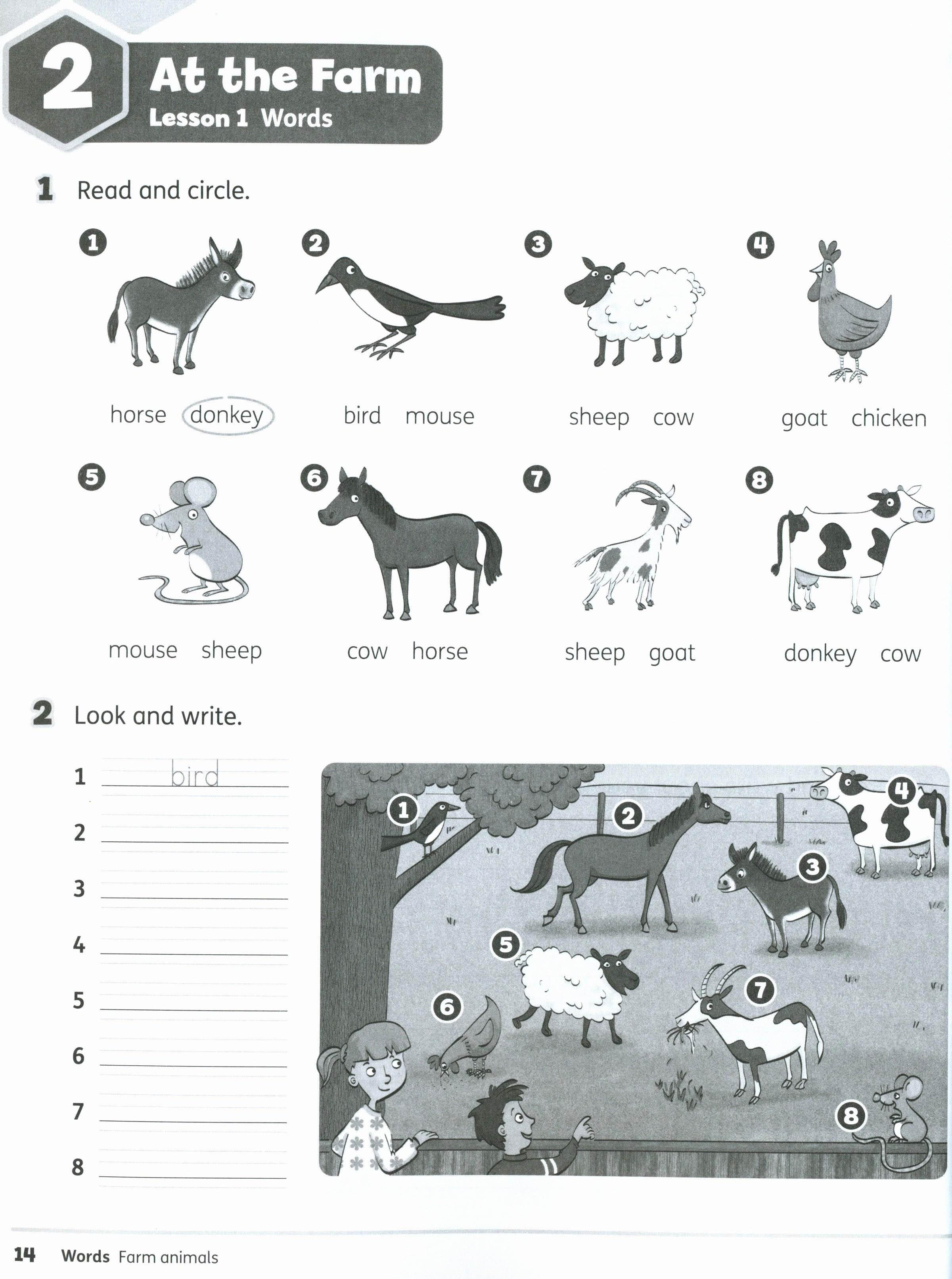 Buzz 2 Workbook