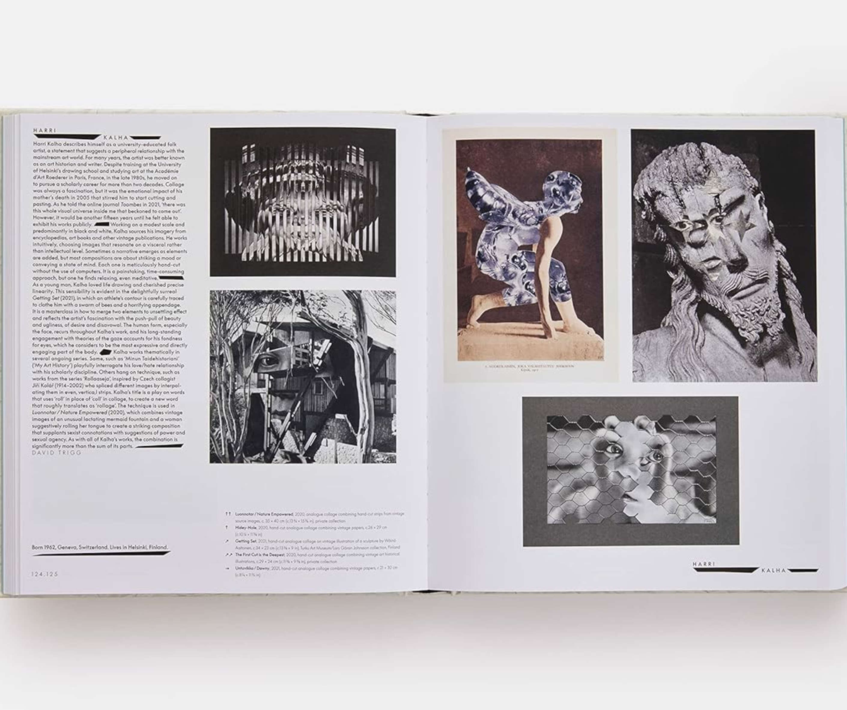 Artbook - Sách Tiếng Anh - Vitamin C+: Collage in Contemporary Art