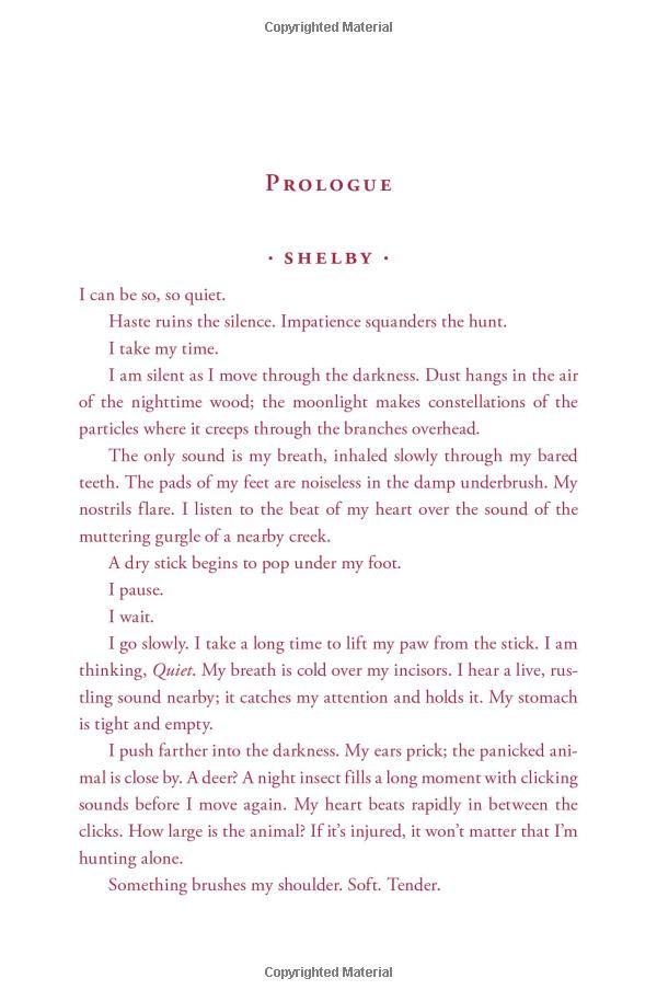 Forever: 3 (Wolves Of Mercy Falls 3) - Paperback