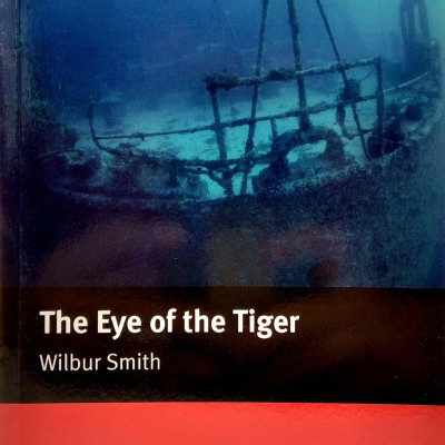 MR; Eye Of The Tiger Int
