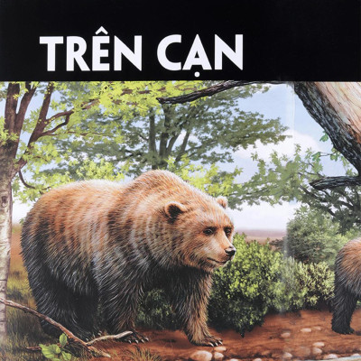 Di Chuyển Và Di Cư