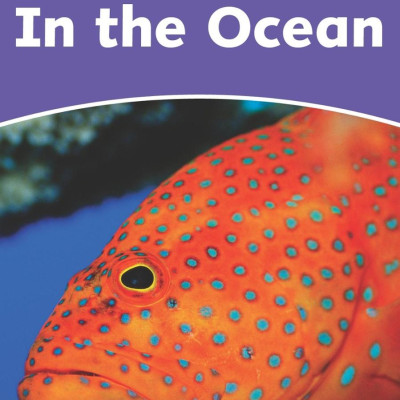 Dolphin Readers Level 4: In The Ocean