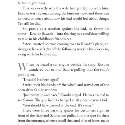 The Travelling Cat Chronicles