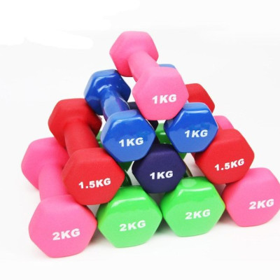 Bộ Tạ Tay 3kg Bọc Cao Su Trơn Lõi Thép Cao Cấp Chính Hãng Đại Nam Sport (Tổng 6kg)-Giao Màu Ngẫu Nhiên