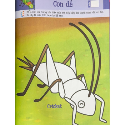 Tô Màu Rèn Trí Thông Minh Tập 2 - Vanlangbooks