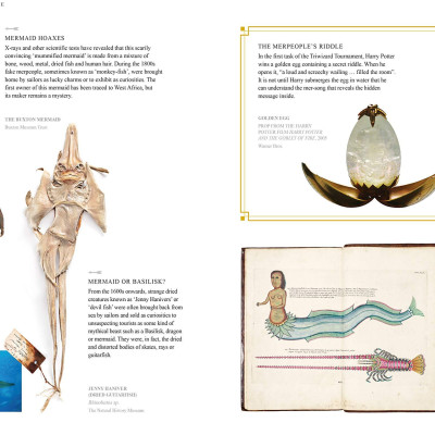 Fantastic Beasts: The Wonder of Nature (Amazing Animals and the Magical Creatures of Harry Potter and Fantastic Beasts) (Paperback)