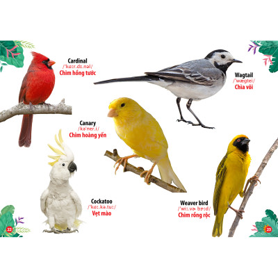 Combo 4 Cuốn: Thế Giới Khủng Long - Thế Giới Loài Chim - Chữ Cái Và Số Đếm - Hoa Rau Củ Quả 
