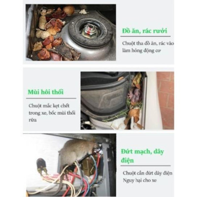 Chai đuổi chuột khoang máy Ô tô, Chống chuột, côn trùng hương liệu thiên nhiên an toàn sử dụng