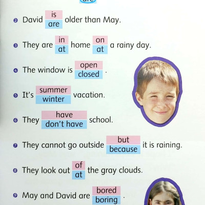 Dolphin Readers Level 4: We Won The Cup