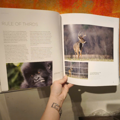 Sách - Wildlife Photography by Richard Bernabe - From First Principles To Professional Results