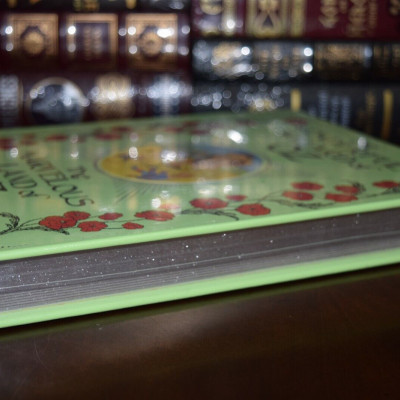 Artbook - Sách Tiếng Anh - The Wonderful Wizard of Oz