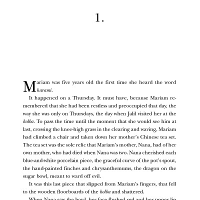 A Thousand Splendid Suns (Perfect Paperback)