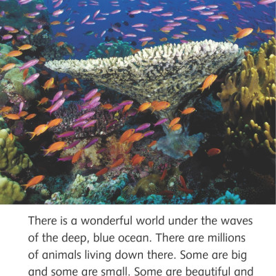 Dolphin Readers Level 4: In The Ocean