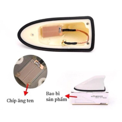 Ăng Ten trang trí Ô Tô Hình Vây Cá Mập Có Đế Gioăng Cao su Chống Vào Nước 4 Màu | Autocarclub.com.vn