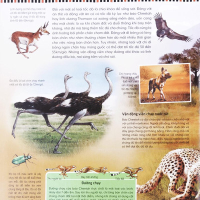 Di Chuyển Và Di Cư