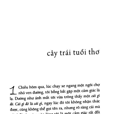 Sương Khói Quê Nhà (Tái Bản 2023)