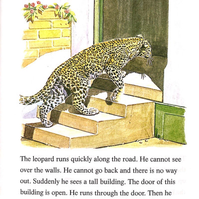 The Leopard and the Lighthouse: Easystarts