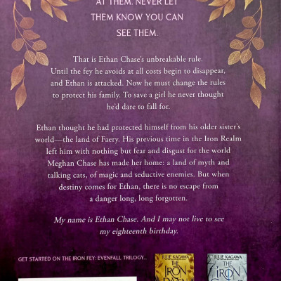 The Iron Fey 5: The Iron Prince Special Edition