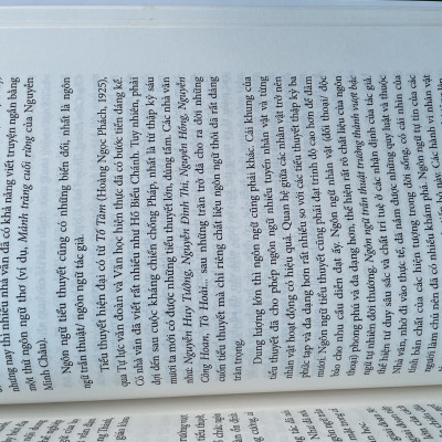Tiếng Việt Lịch Sử - Một Tham Chiếu Hồi Quan