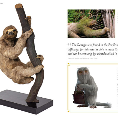 Fantastic Beasts: The Wonder of Nature (Amazing Animals and the Magical Creatures of Harry Potter and Fantastic Beasts) (Paperback)