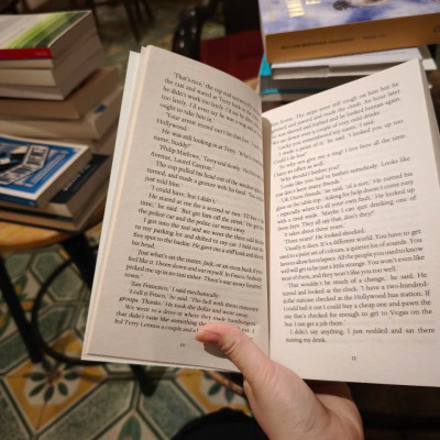 Sách - The Long Good-bye by RayMond Chandler - Mystery / Fiction / Crime in English