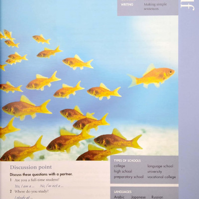 Skillful Reading and Writing Student