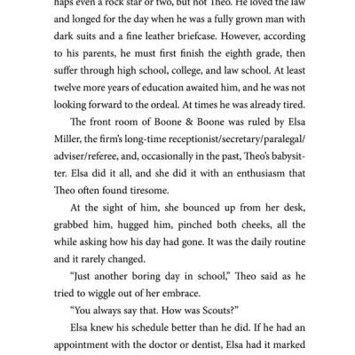 Theodore Boone: The Accomplice