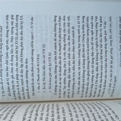 Tiếng Việt Lịch Sử - Một Tham Chiếu Hồi Quan