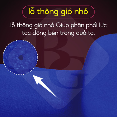 Bộ 2 tạ tay 3kg Model Q304 - Q314 cao cấp tập Gym BG (hàng nhập khẩu)