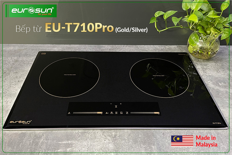 Bếp từ đôi Eurosun EU-T710Pro(S) - Hàng Chính Hãng