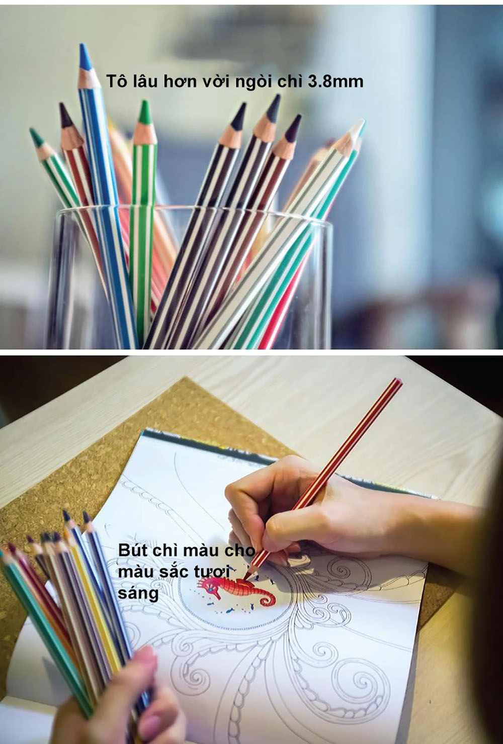 Bộ bút chì màu Swans 36 màu - Hộp 36 màu + Tuyển tập tô màu SVCB (CLP1868-36B)