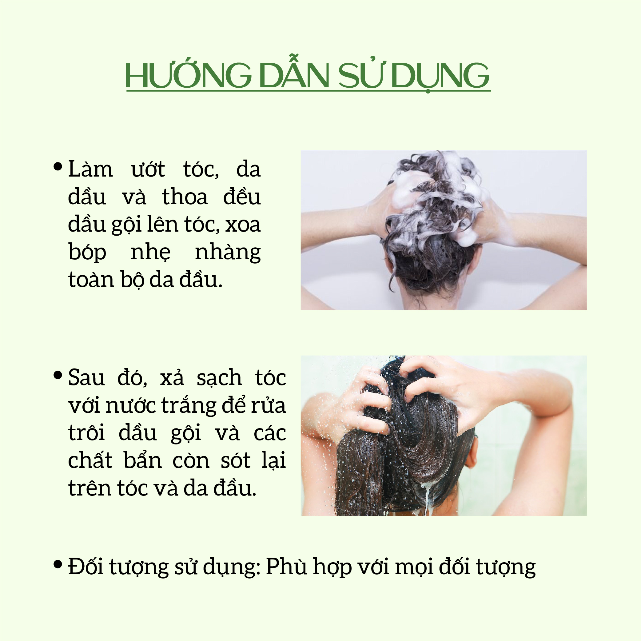 Dầu gội thảo dược sạch gàu, giảm xơ rối ECOCARE PREMIUM 300ml đạt chuẩn CGMP, dầu gội xả thiên nhiên