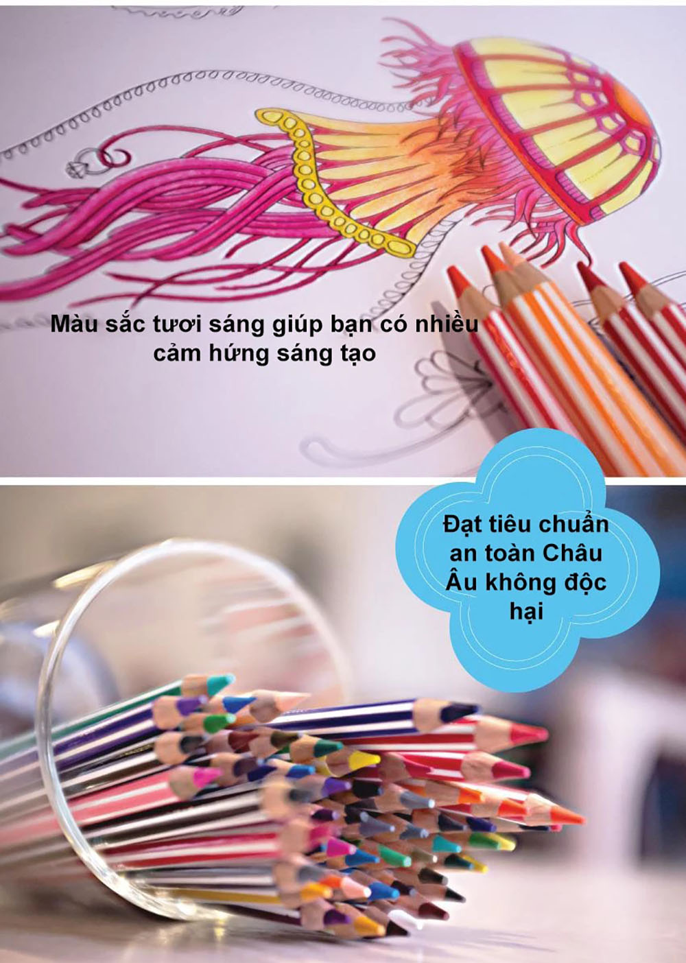 Bộ bút chì màu Swans 36 màu - Hộp 36 màu + Tuyển tập tô màu SVCB (CLP1868-36B)
