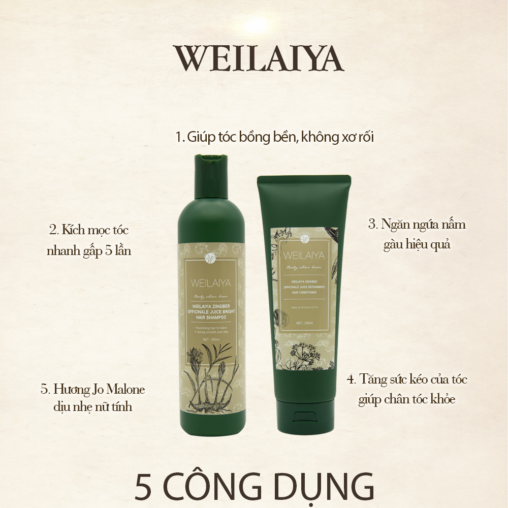 Bộ Dầu Gội Xả Hỗ Trợ Trị Rụng Tóc Kích Thích Mọc Tóc Weilaiya Tinh Chất Gừng Hà Thủ Ô Cao Cấp Ngăn Ngừa Rụng Tóc Lưu Thông Mạch Máu Hương Thảo Dược (Gội 400ml- Xả:250ml)- Sản Phẩm Chính Hãng