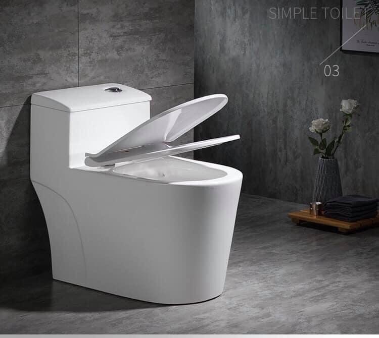 Bồn cầu 1 khối C8020