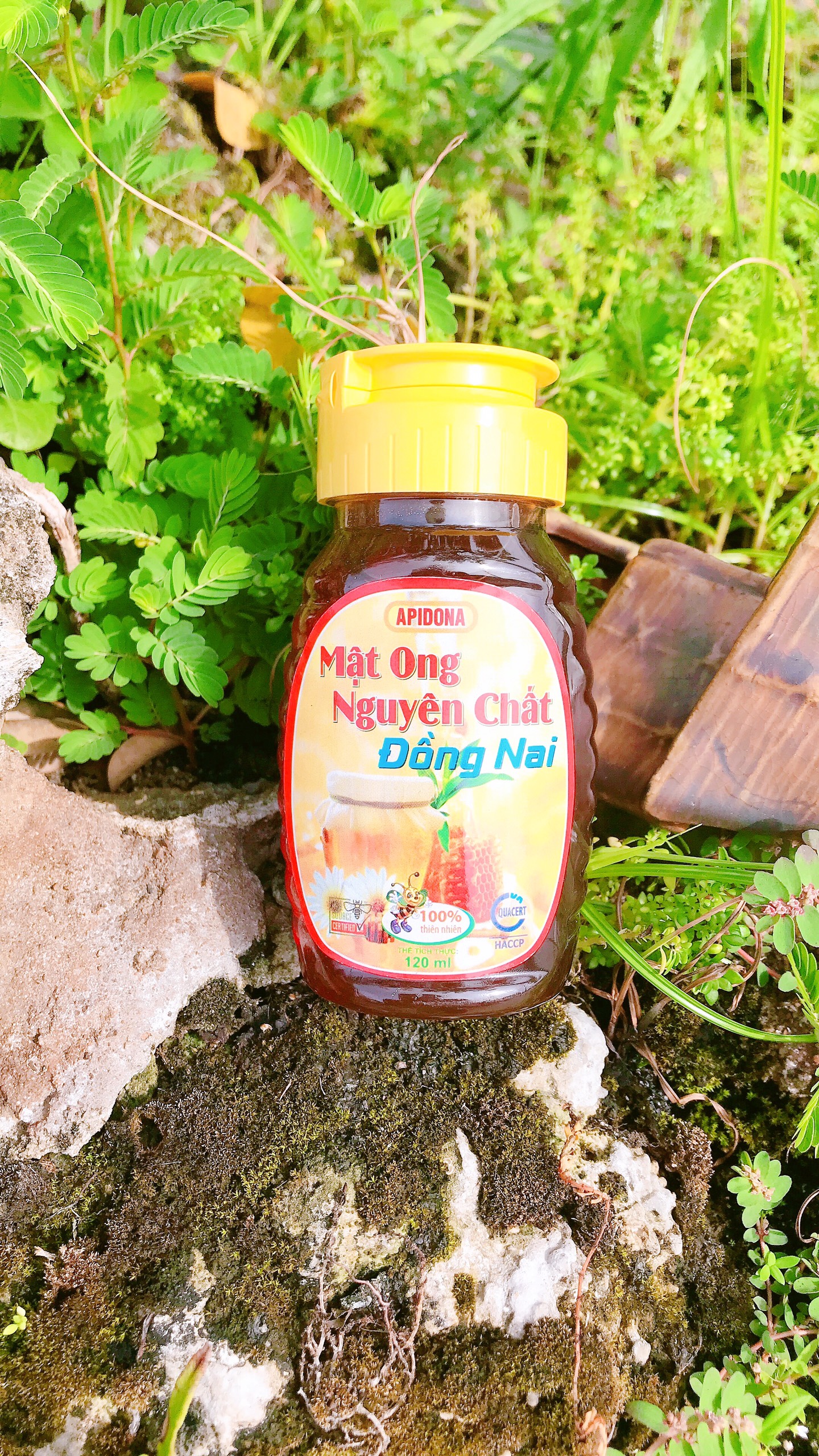COMBO 3 LỌ MẬT ONG NGUYÊN CHẤT ĐỒNG NAI 120ML