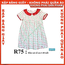 Rập giấy A0 mã R75 (BẢN VẼ)