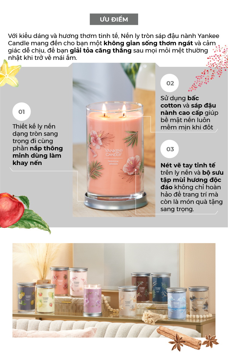 Nến ly tròn sáp đậu nành Yankee Candle size L (567g) - Balsam & Cedar