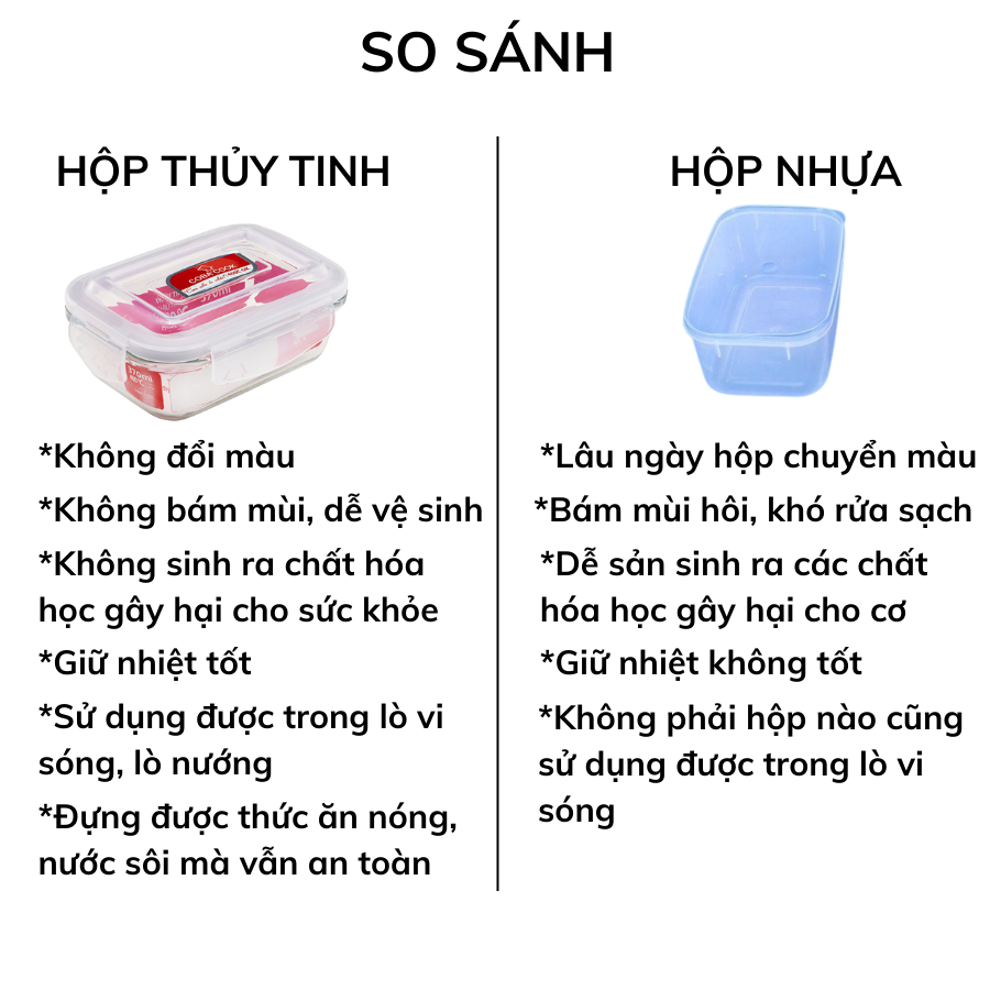 Bộ túi hộp cơm thủy tinh COBA