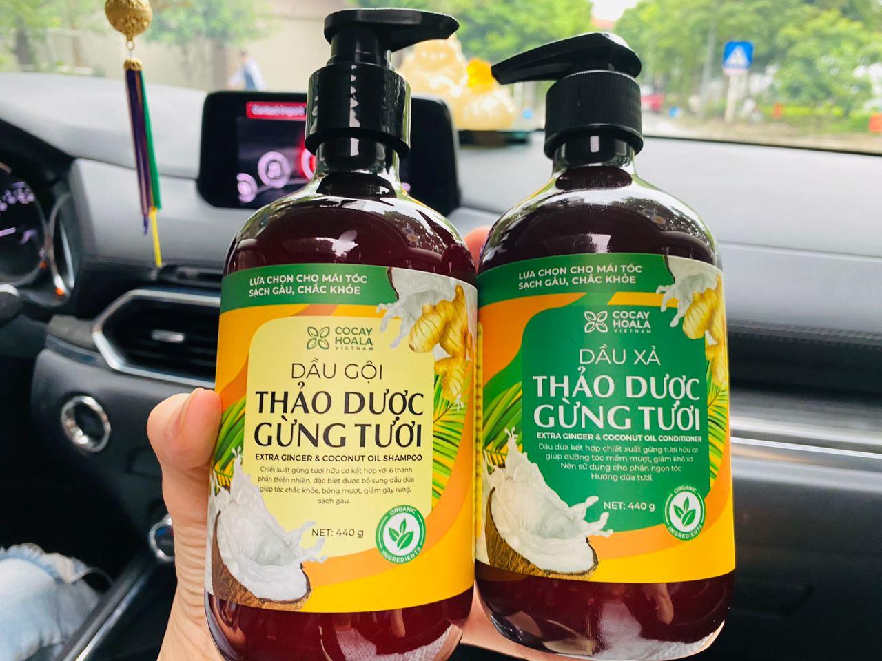 Dầu gội thảo dược gừng dừa Cocayhoala hỗ trợ trị gàu, hết ngứa, dung tích 440g-95% thành phần từ gừng tươi hữu cơ còn nguyên xơ gừng, hỗ trợ trị rụng tóc, kích thích mọc tóc vượt trội, an toàn cho mẹ bầu mẹ sau sinh