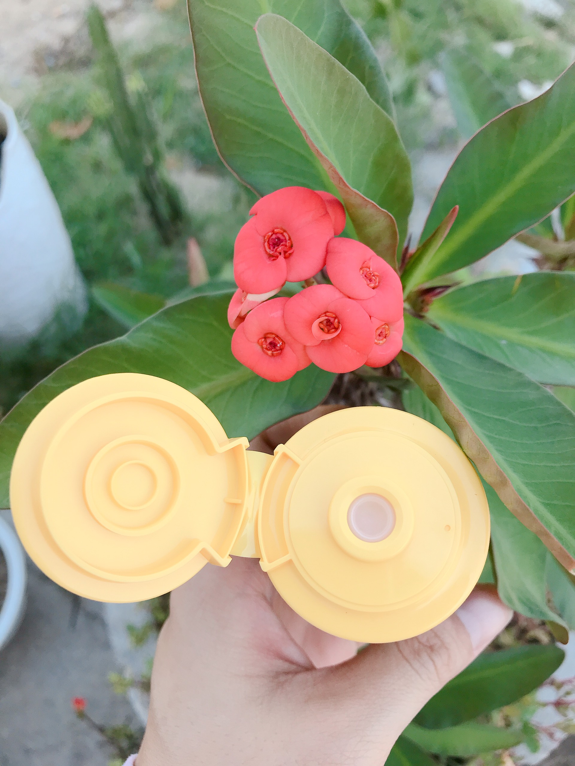 COMBO 3 LỌ MẬT ONG NGUYÊN CHẤT ĐỒNG NAI 120ML