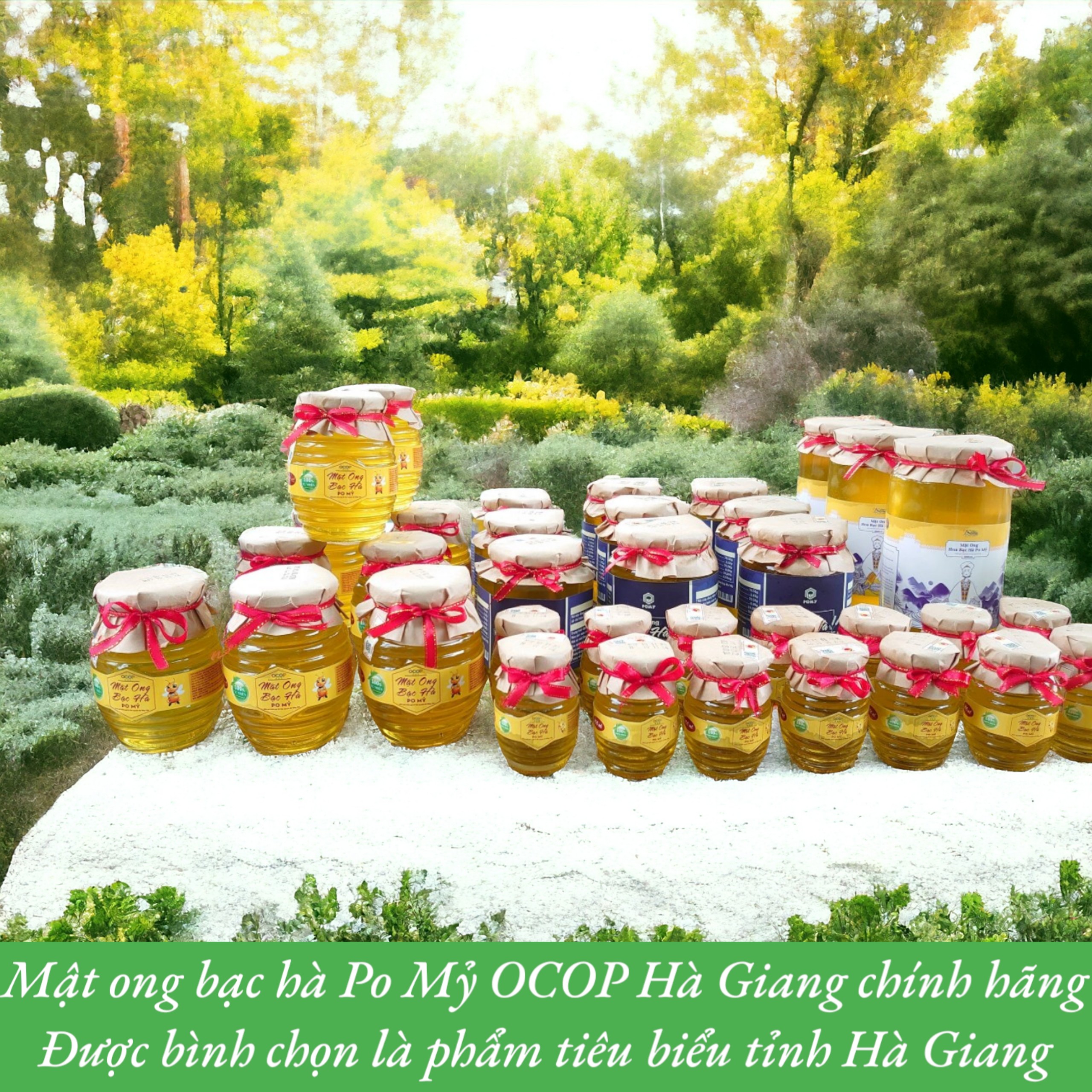 BỘ QUÀ MẬT ONG BẠC HÀ OCOP HÀ GIANG CHÍNH HÃNG, MẬT ONG BẠC HÀ PO MỶ VIETGAP CAO NGUYÊN ĐÁ HÀ GIANG
