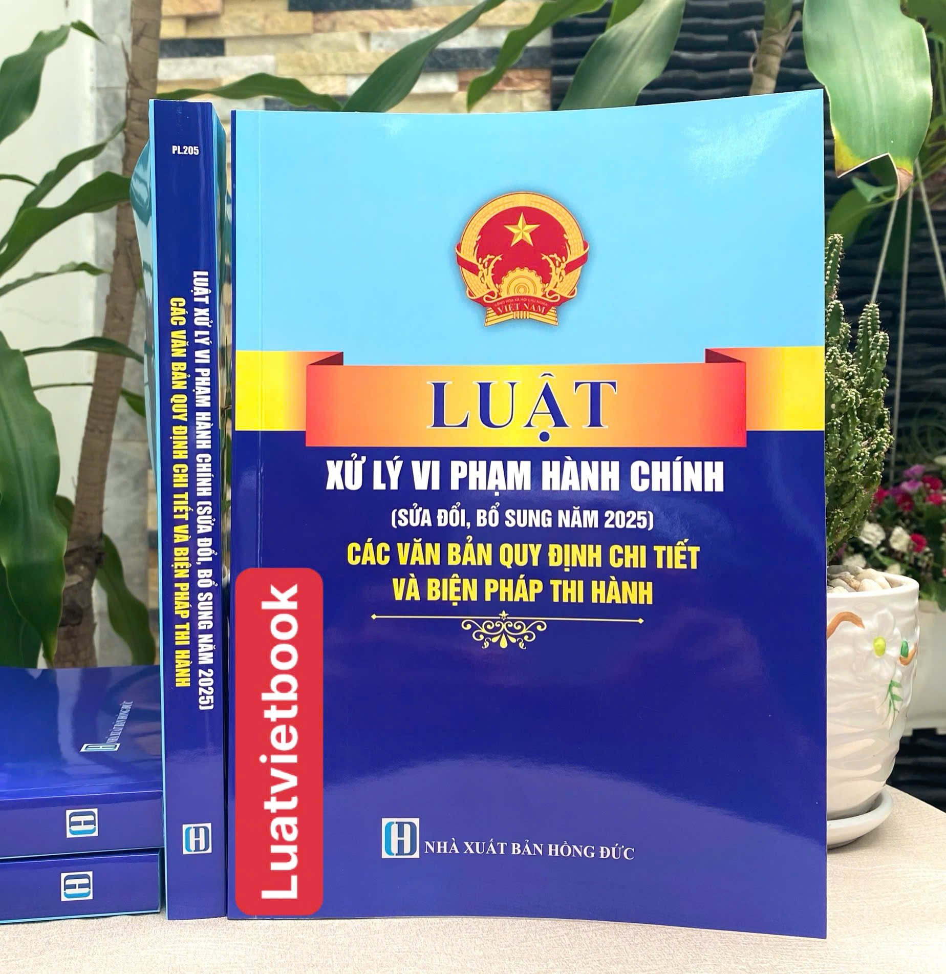 Luật Xử Lý Vi Phạm Hành Chính ( Sửa Đổi, Bổ Sung Năm 2025) Các Quy Định Chi Thiết Và Biện Pháp Thi Hành