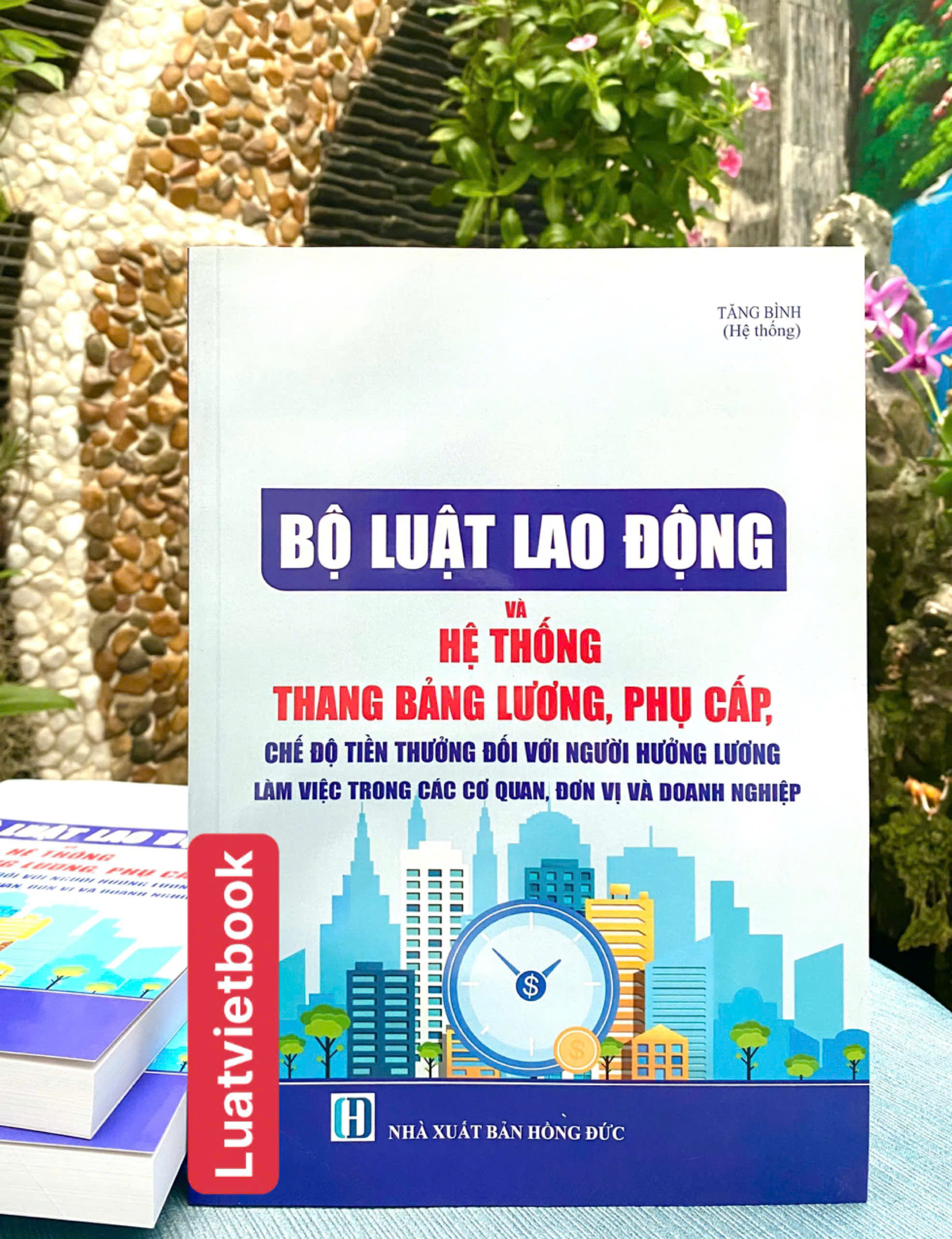 Bộ Luật Lao Động và Hệ Thống Thang Bảng Lương, Phụ Cấp, Chế Độ Tiền Thưởng Đối Với Người Hưởng Lương Làm Việc Trong Các Cơ Quan, Đơn Vị Và Doanh Nghiệp