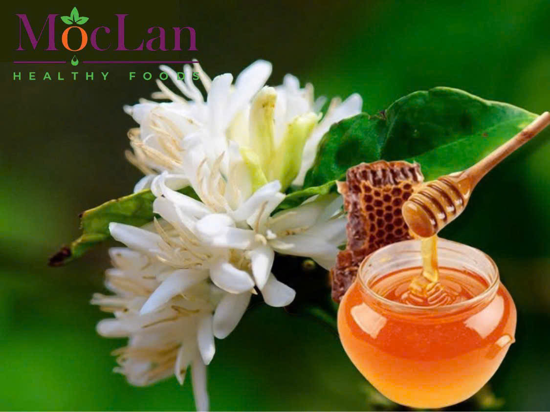 Mật ong hoa cà phê Mộc Lan - đặc sản Đắk Lắk - hoa cafe - 1 Lit
