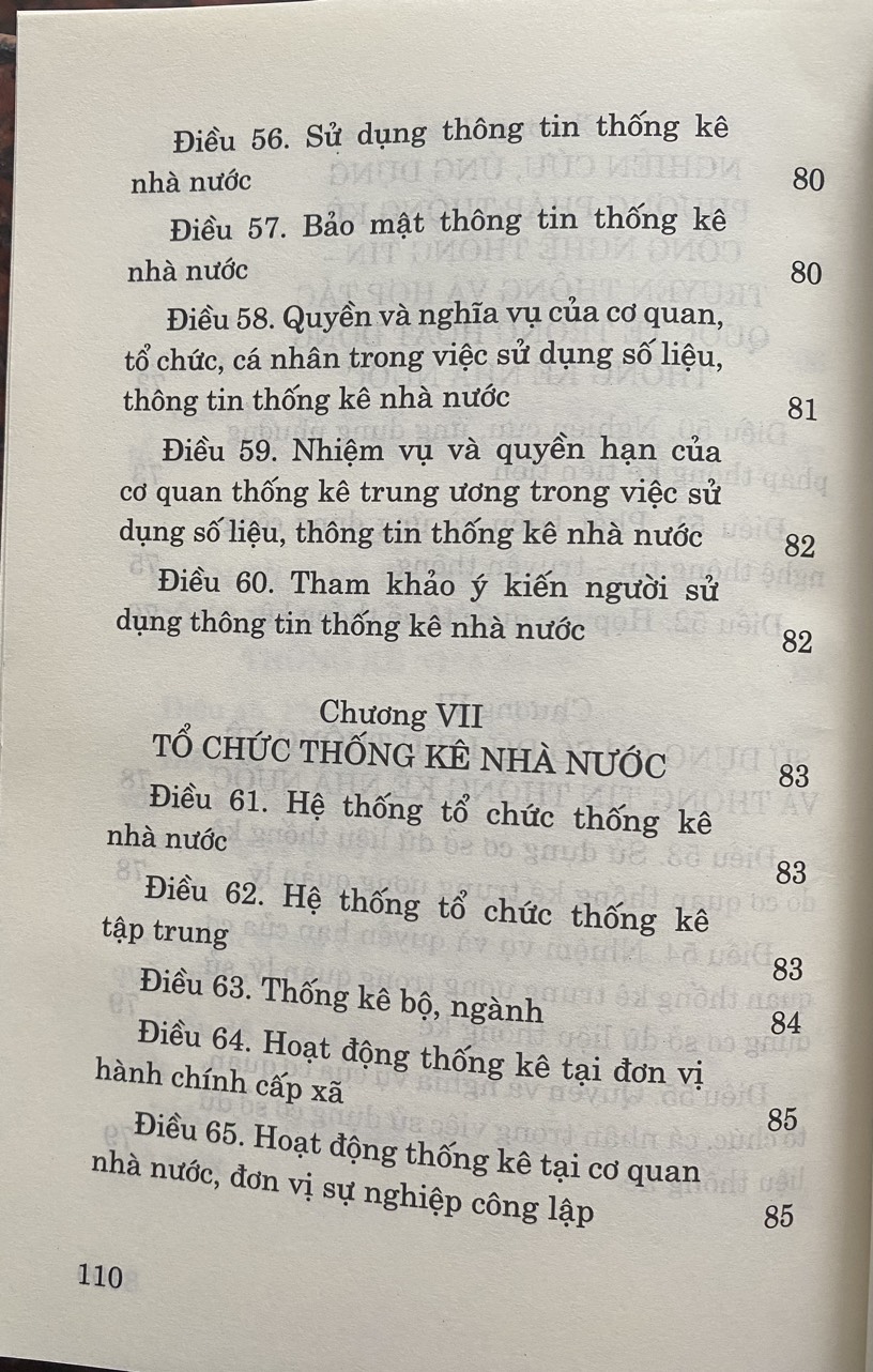 Luật Thống Kê Năm 2015 ( Sửa đổi, bổ sung năm 2021 )